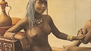 533 bisexual porn videos